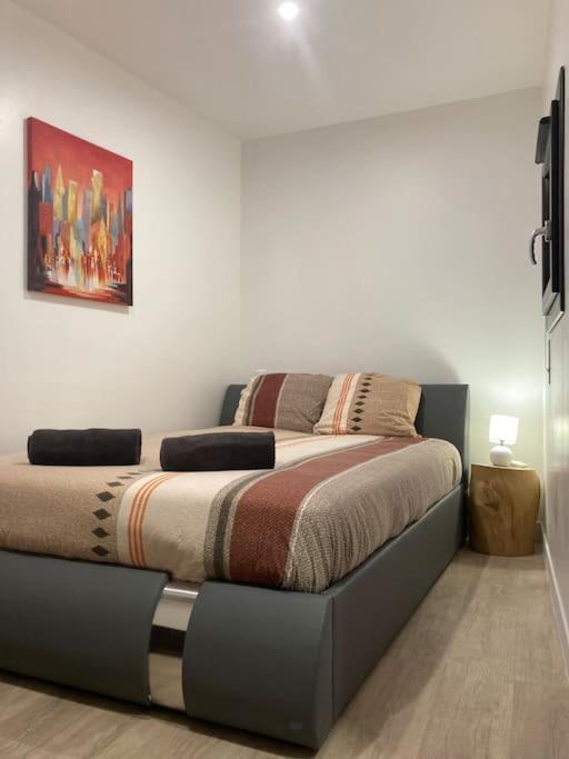 Appartement Centre Historique アルビ エクステリア 写真