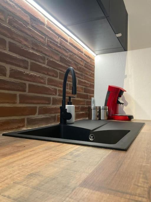 Appartement Centre Historique アルビ エクステリア 写真