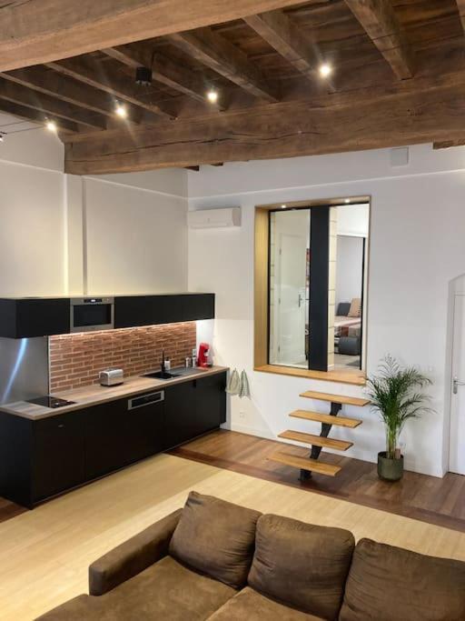 Appartement Centre Historique アルビ エクステリア 写真
