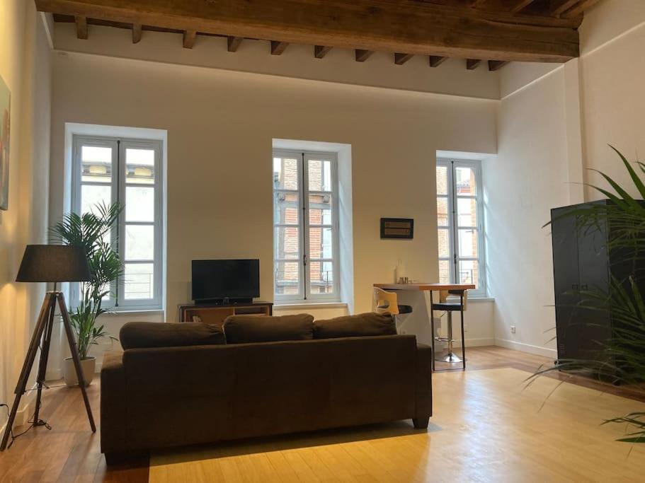 Appartement Centre Historique アルビ エクステリア 写真